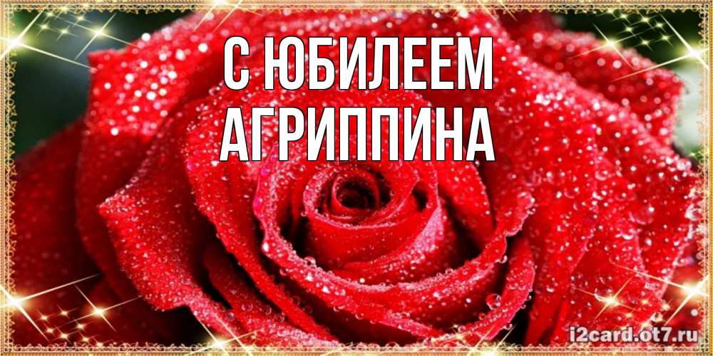 Открытка на каждый день с именем, Агриппина С юбилеем роса и роза. открытка с красивой розой Прикольная открытка с пожеланием онлайн скачать бесплатно 