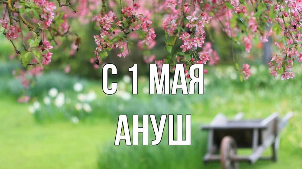 Открытка на каждый день с именем, Ануш С 1 мая С 1 мая Прикольная открытка с пожеланием онлайн скачать бесплатно 