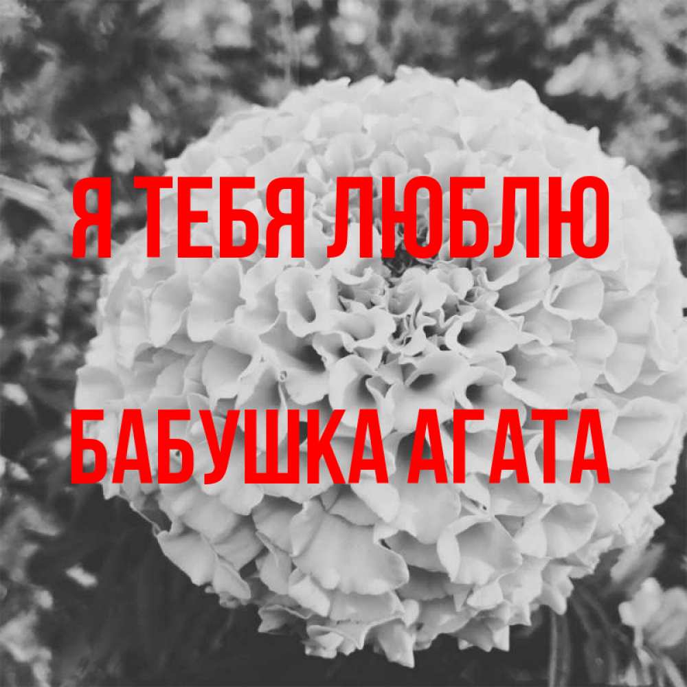 Открытка на каждый день с именем, Бабушка-Агата Я тебя люблю подпись Прикольная открытка с пожеланием онлайн скачать бесплатно 