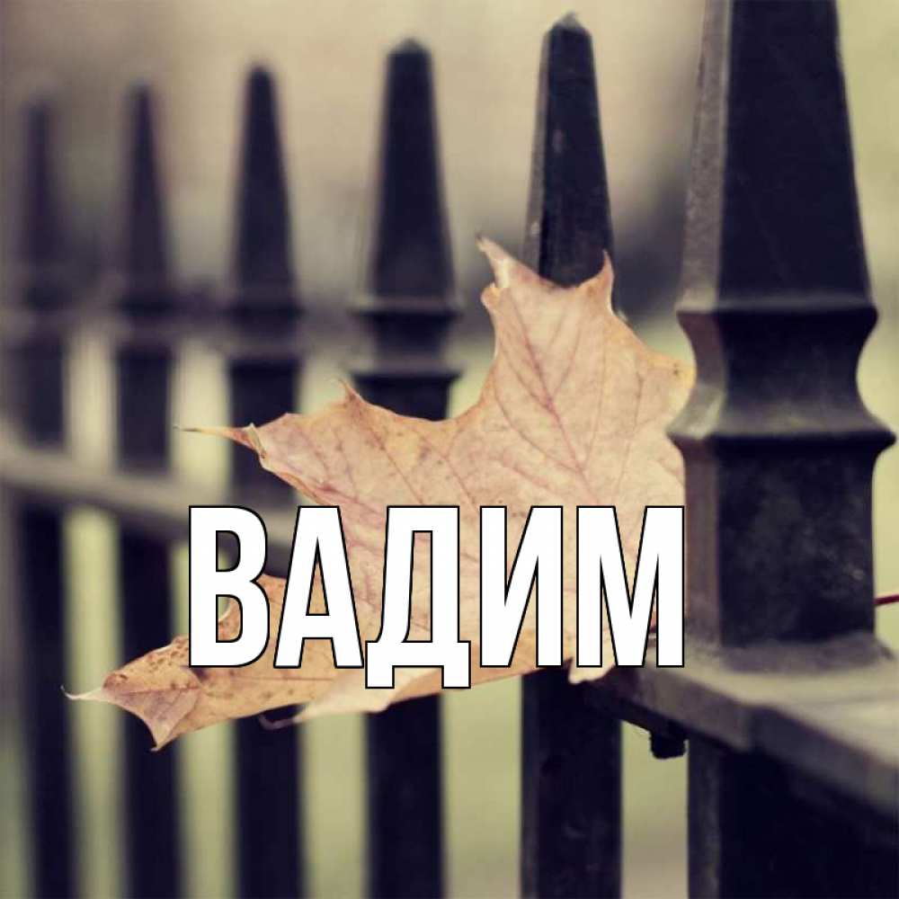 Открытка на каждый день с именем, Вадим Главная очень скучно Прикольная открытка с пожеланием онлайн скачать бесплатно 