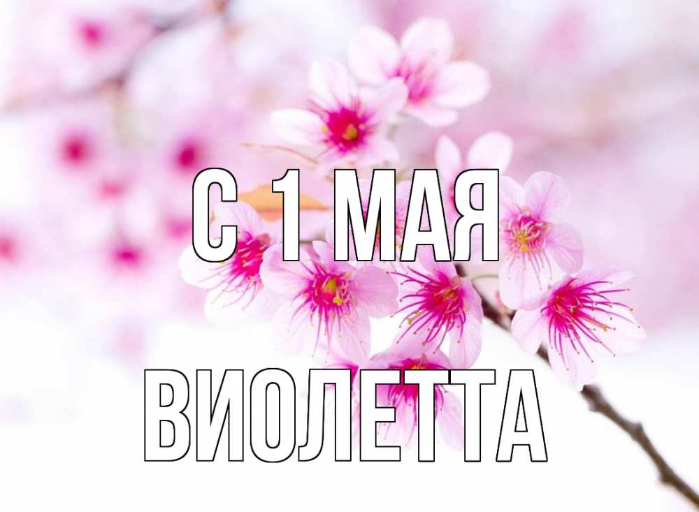 Открытка на каждый день с именем, Виолетта С 1 мая С 1 мая 2 Прикольная открытка с пожеланием онлайн скачать бесплатно 