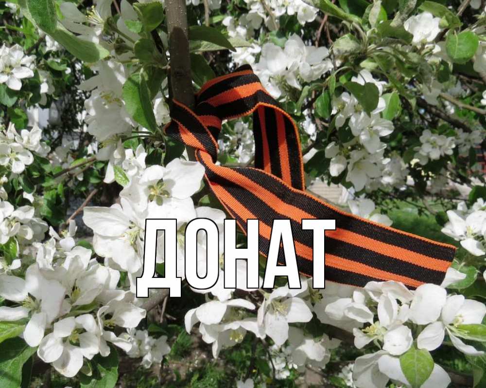 Открытка на каждый день с именем, Донат Главная 9 мая Прикольная открытка с пожеланием онлайн скачать бесплатно 