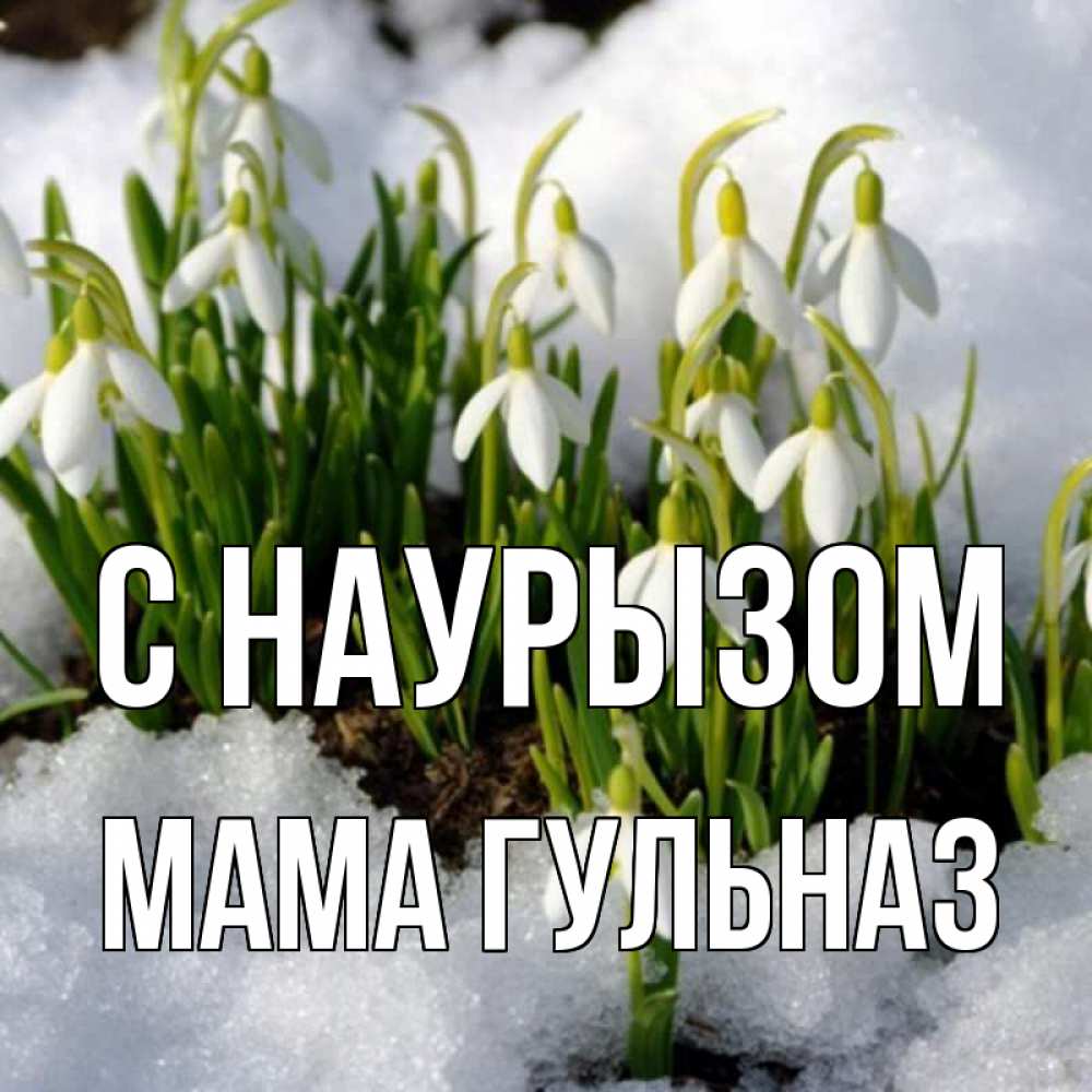 Открытка на каждый день с именем, Мама-Гульназ С наурызом цветы весенние Прикольная открытка с пожеланием онлайн скачать бесплатно 