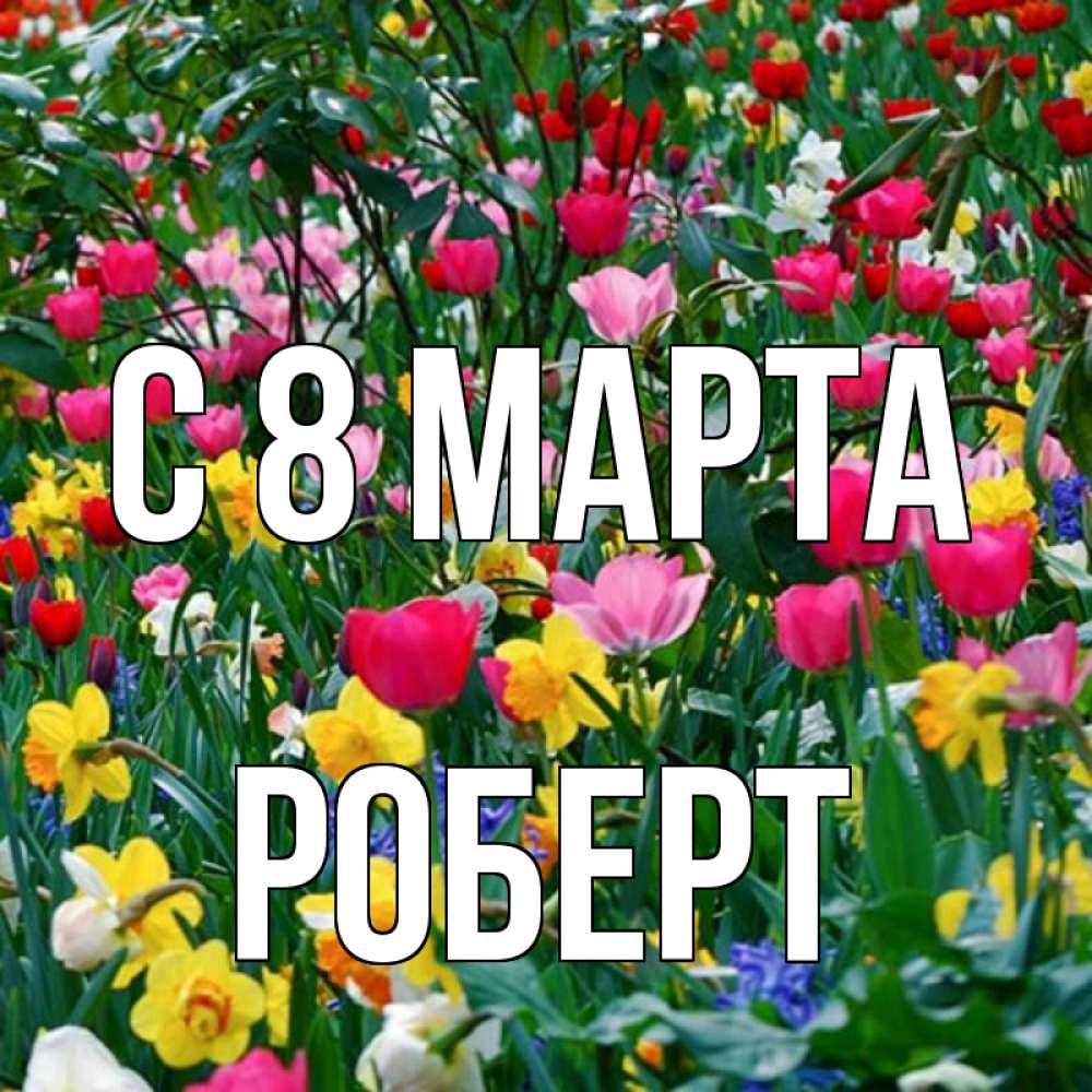 Открытка на каждый день с именем, Роберт С 8 марта с международным женским днем поздравления для женщины Прикольная открытка с пожеланием онлайн скачать бесплатно 