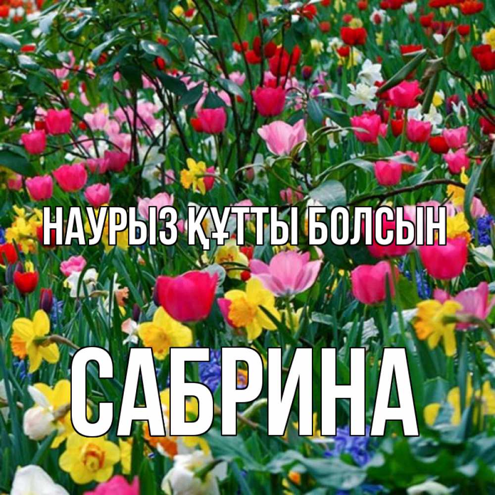 Открытка на каждый день с именем, Сабрина Наурыз құтты болсын с наурызом поздравления для женщины Прикольная открытка с пожеланием онлайн скачать бесплатно 