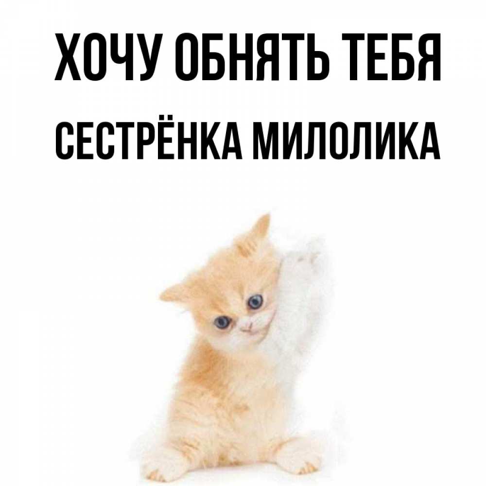 Открытка на каждый день с именем, Сестрёнка-Милолика Хочу обнять тебя я хочу очень скорее обнимаешек Прикольная открытка с пожеланием онлайн скачать бесплатно 
