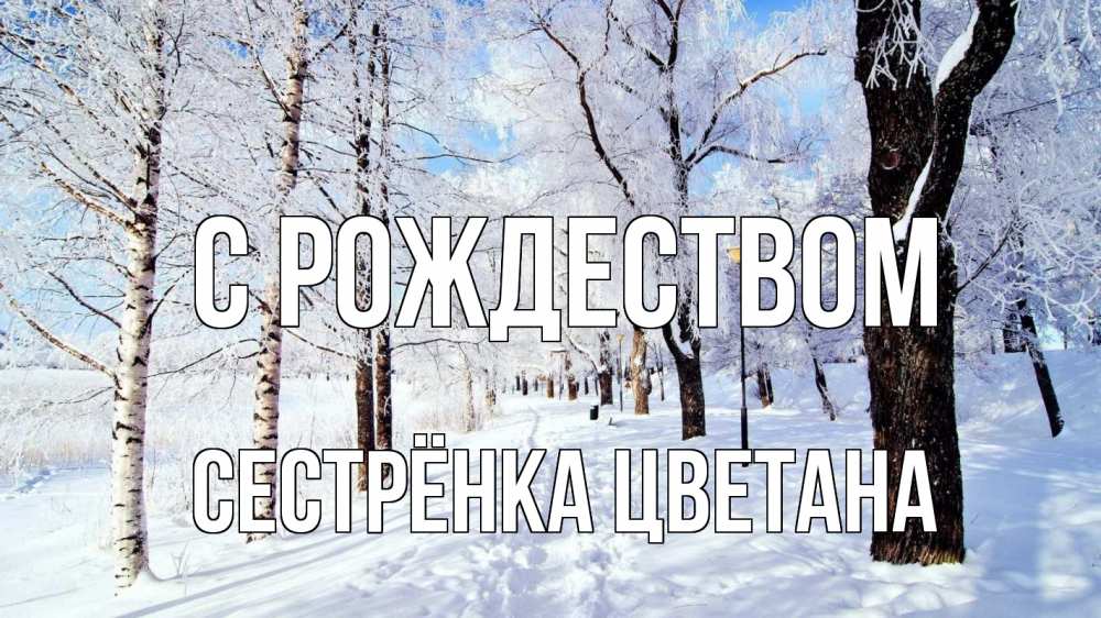 Открытка на каждый день с именем, Сестрёнка-Цветана С рождеством зимний лес Прикольная открытка с пожеланием онлайн скачать бесплатно 