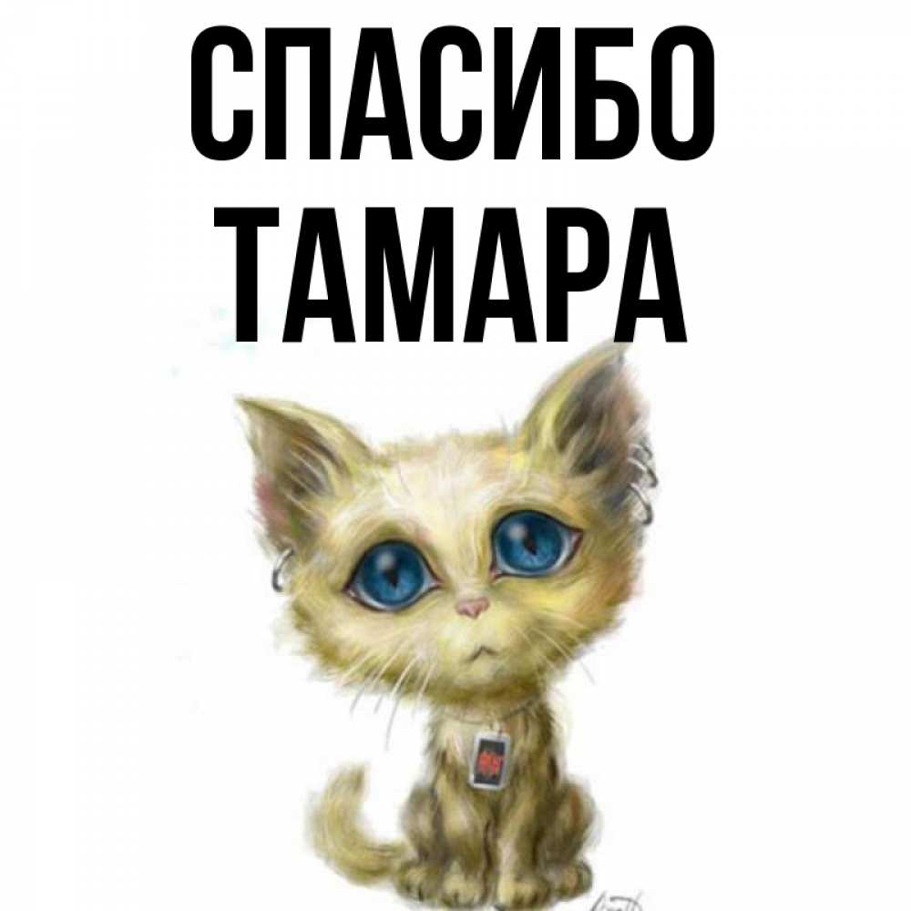 Открытка на каждый день с именем, Тамара Спасибо рисованный кот благодарит вас Прикольная открытка с пожеланием онлайн скачать бесплатно 