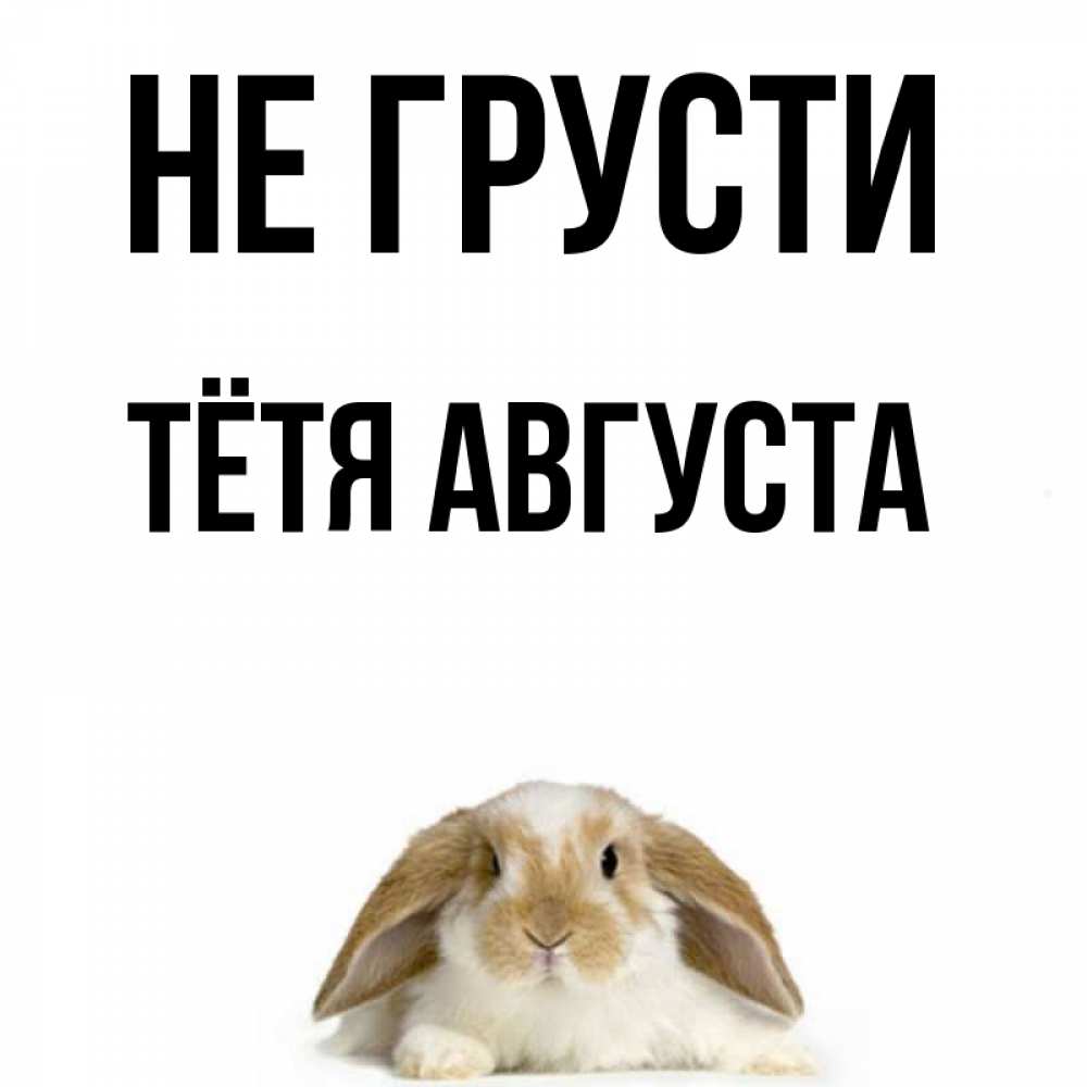 Открытка на каждый день с именем, Тётя-Августа Не грусти коричнево белый заяц с большими ушками Прикольная открытка с пожеланием онлайн скачать бесплатно 