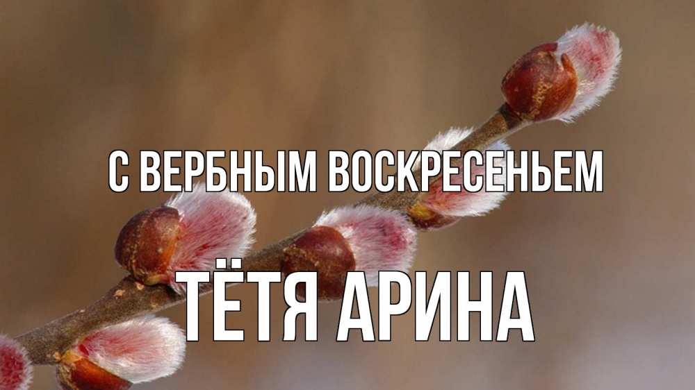 Открытка на каждый день с именем, Тётя-Арина С вербным воскресеньем верба Прикольная открытка с пожеланием онлайн скачать бесплатно 