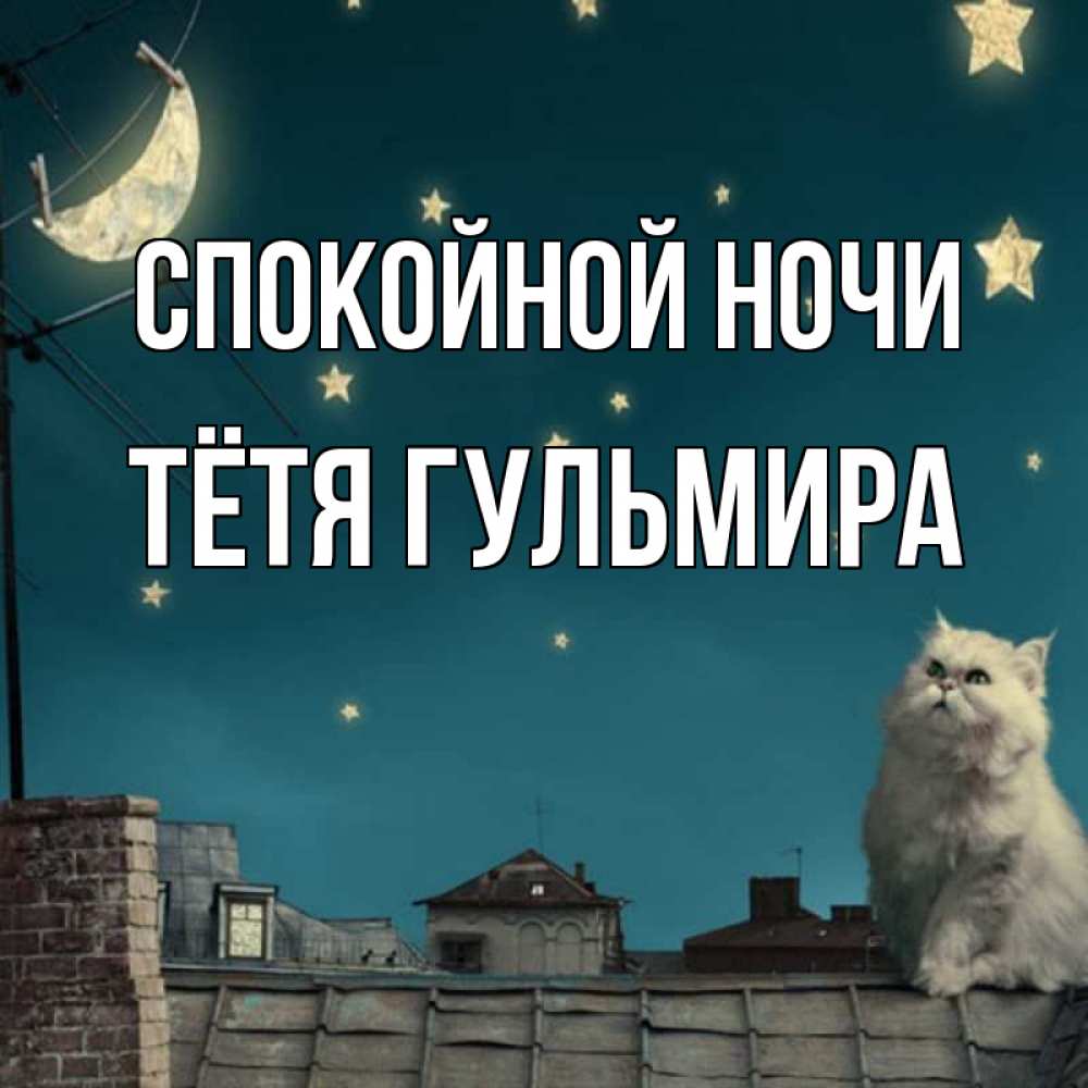 Открытка на каждый день с именем, Тётя-Гульмира Спокойной ночи белый кот сидит на крыше Прикольная открытка с пожеланием онлайн скачать бесплатно 