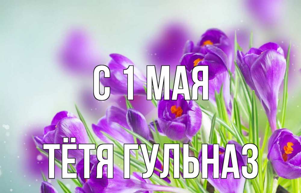 Открытка на каждый день с именем, Тётя-Гульназ С 1 мая 1 мая Прикольная открытка с пожеланием онлайн скачать бесплатно 
