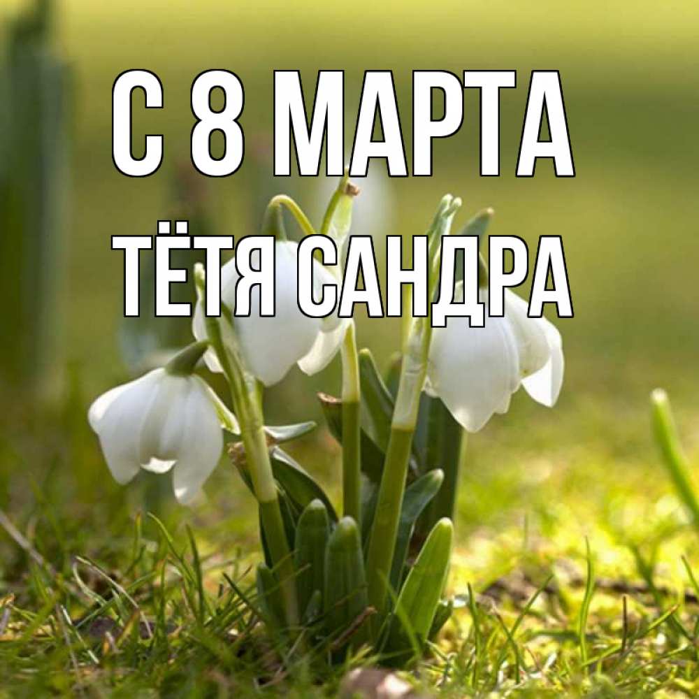 Открытка на каждый день с именем, Тётя-Сандра С 8 МАРТА ранние цветы 2 Прикольная открытка с пожеланием онлайн скачать бесплатно 
