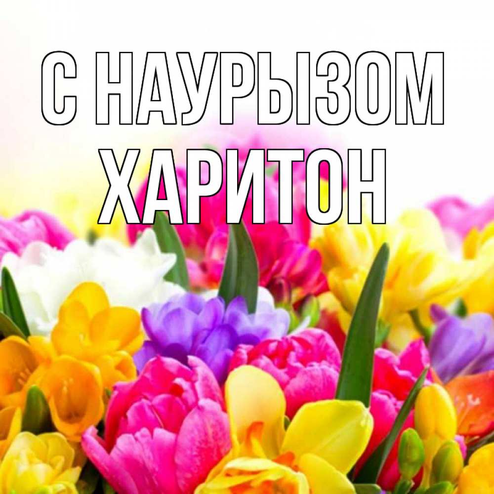 Открытка на каждый день с именем, Харитон С наурызом тюльпаны Прикольная открытка с пожеланием онлайн скачать бесплатно 