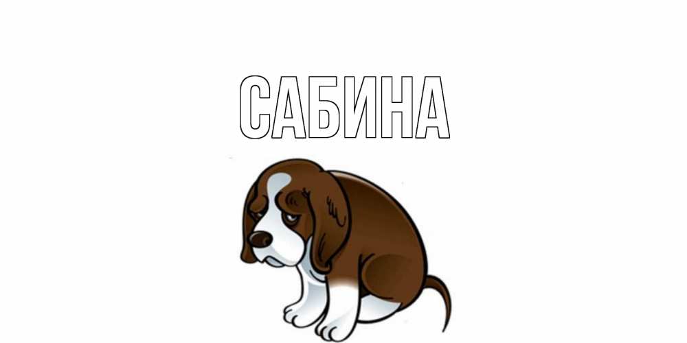 Открытка на каждый день с именем, Сабина Главная щеночек просит прощения Прикольная открытка с пожеланием онлайн скачать бесплатно 