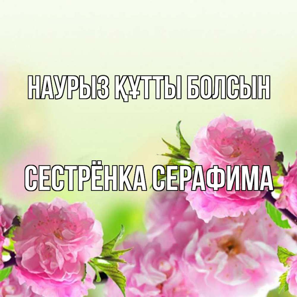 Открытка на каждый день с именем, Сестрёнка-Серафима Наурыз құтты болсын цветы Прикольная открытка с пожеланием онлайн скачать бесплатно 