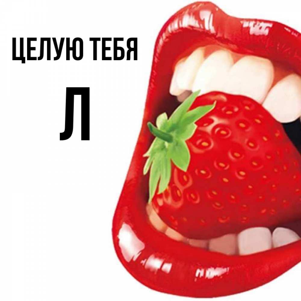 Т ы л о х. Т ы л о х
