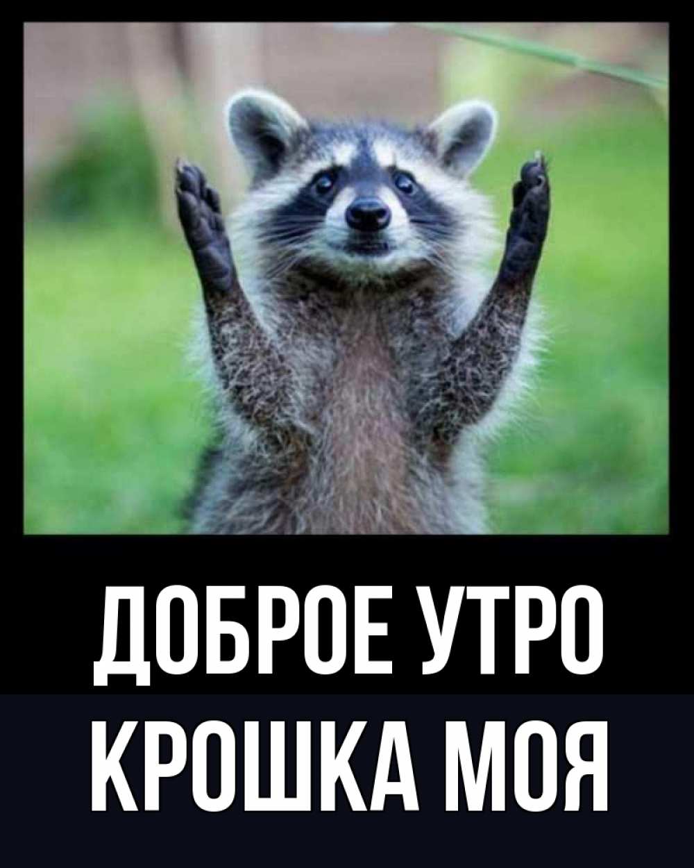 Открытка на каждый день с именем, Крошка-моя Доброе утро хорошее настроение утречком Прикольная открытка с пожеланием онлайн скачать бесплатно 