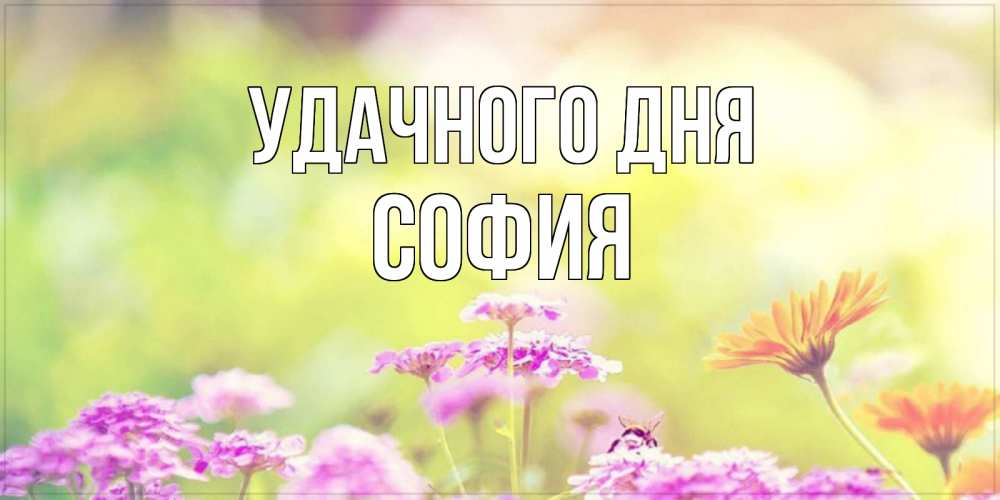 Открытка на каждый день с именем, София Удачного дня красивая открытка с летней темой Прикольная открытка с пожеланием онлайн скачать бесплатно 