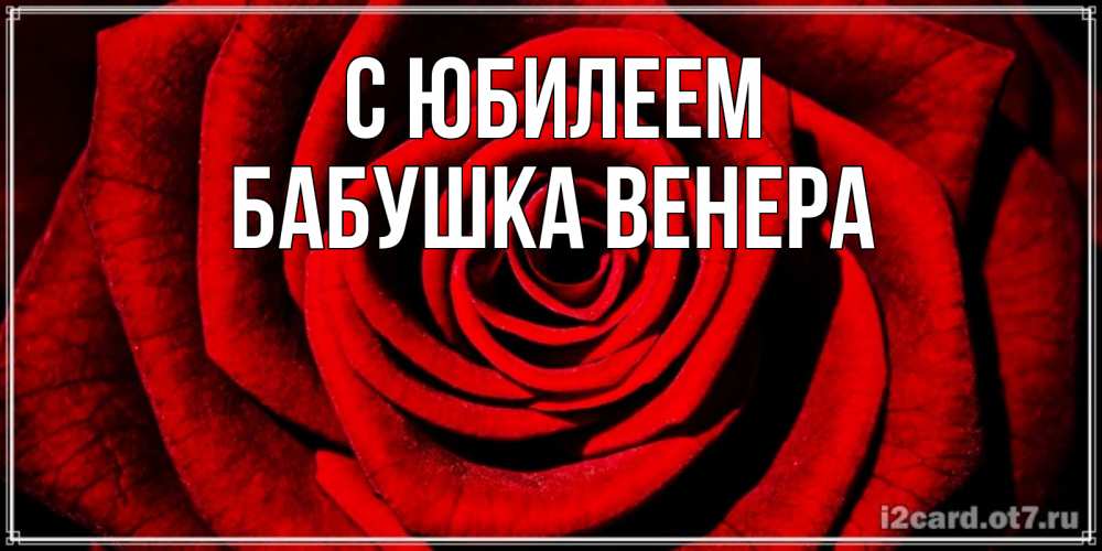 Открытка на каждый день с именем, Бабушка-Венера С юбилеем алая роза Прикольная открытка с пожеланием онлайн скачать бесплатно 