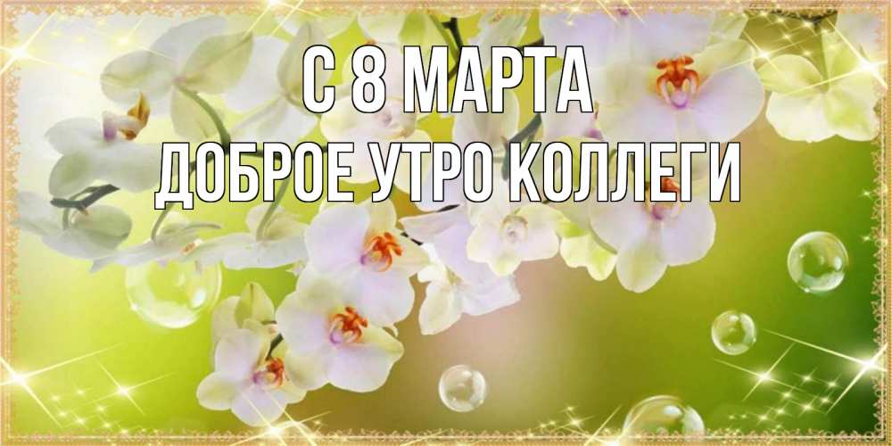 Открытка на каждый день с именем, Доброе-утро-Коллеги С 8 марта открытка с цветами на международный женский день Прикольная открытка с пожеланием онлайн скачать бесплатно 