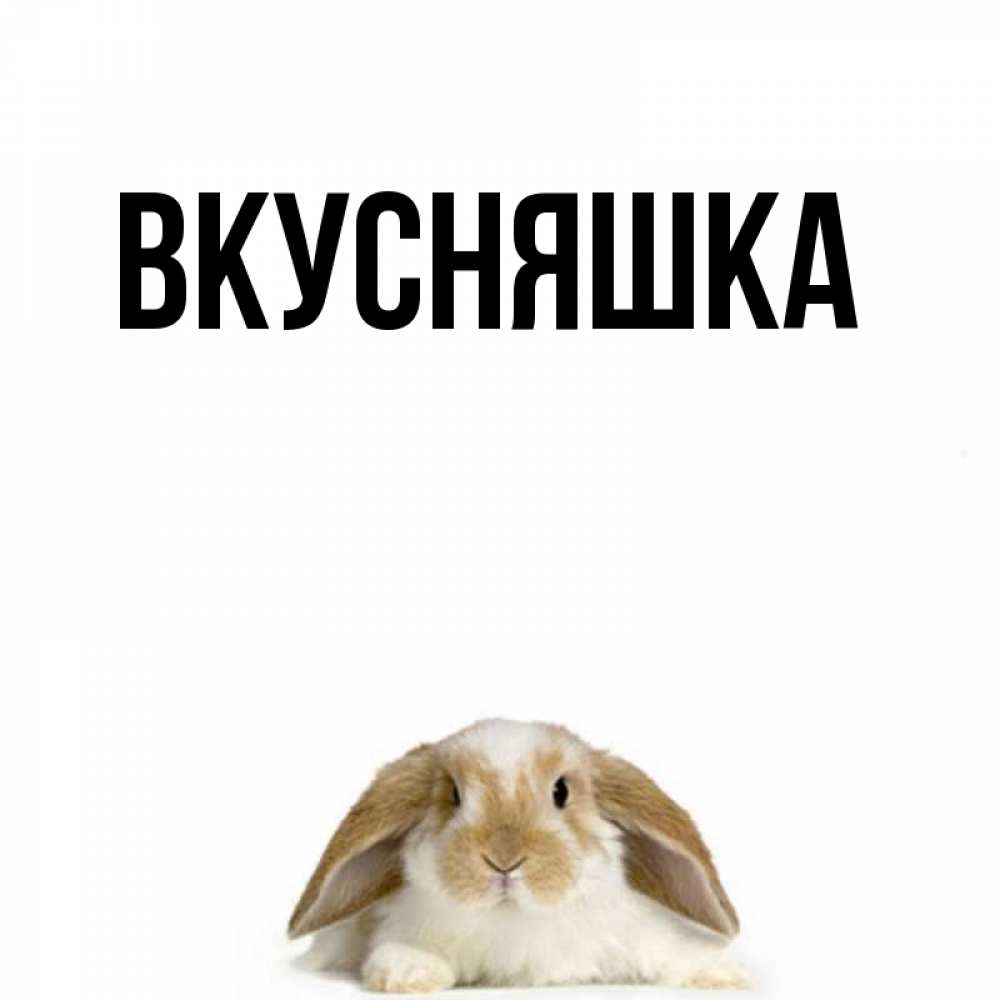 Открытка на каждый день с именем, Вкусняшка Главная коричнево белый заяц с большими ушками Прикольная открытка с пожеланием онлайн скачать бесплатно 