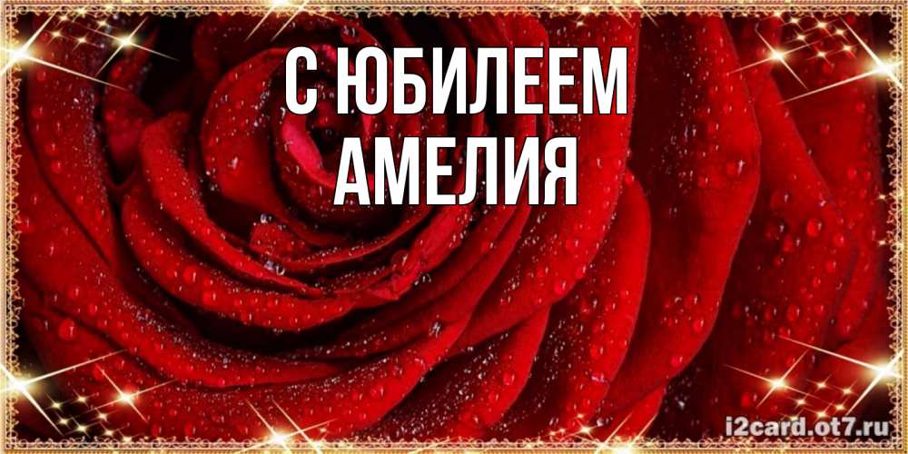 Открытка на каждый день с именем, Амелия С юбилеем роса на розе блестящая в лучах солнца Прикольная открытка с пожеланием онлайн скачать бесплатно 