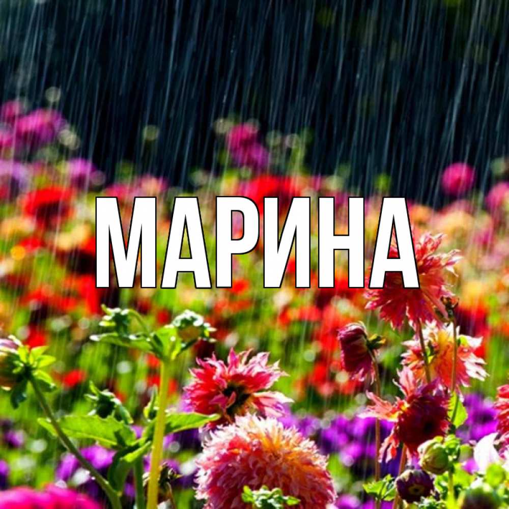 Открытка на каждый день с именем, Марина Главная цветы под дождиком к международному женскому дню Прикольная открытка с пожеланием онлайн скачать бесплатно 