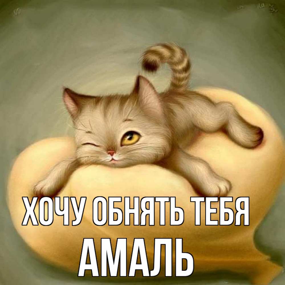 Открытка на каждый день с именем, Амаль Хочу обнять тебя кошечка Прикольная открытка с пожеланием онлайн скачать бесплатно 