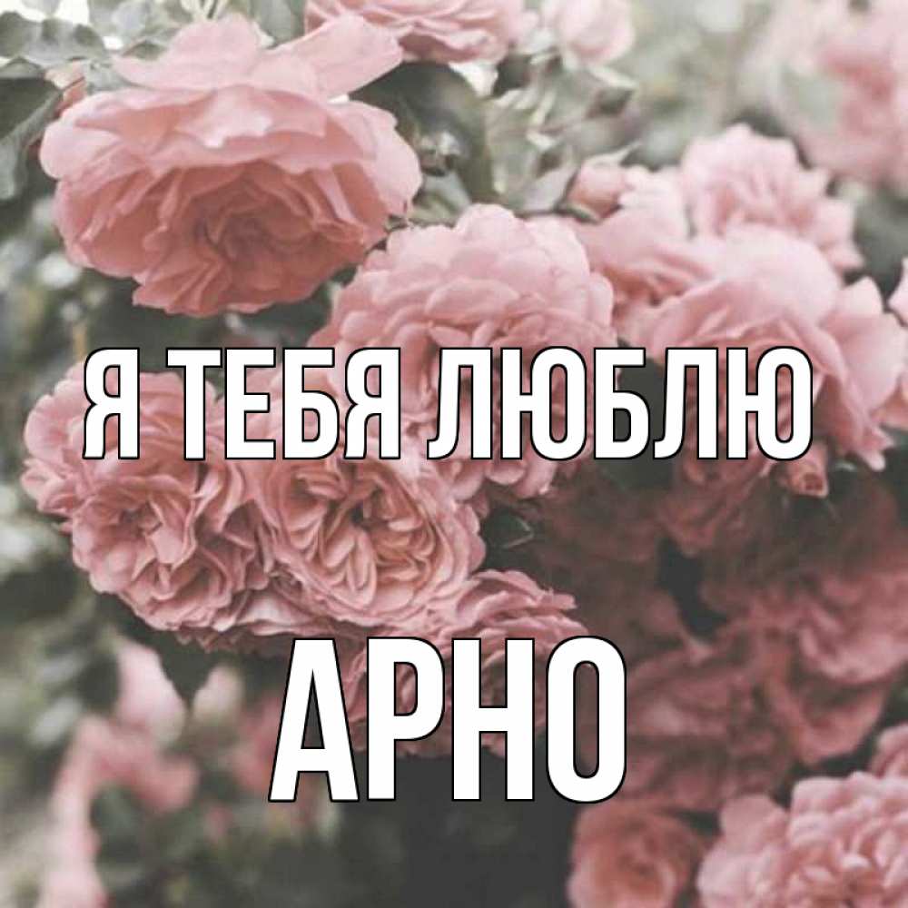 Открытка на каждый день с именем, Арно Я тебя люблю розы 3 Прикольная открытка с пожеланием онлайн скачать бесплатно 