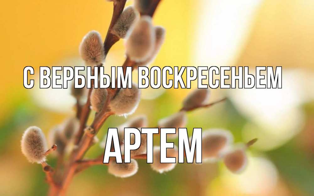 Открытка на каждый день с именем, Артем С вербным воскресеньем верба Прикольная открытка с пожеланием онлайн скачать бесплатно 