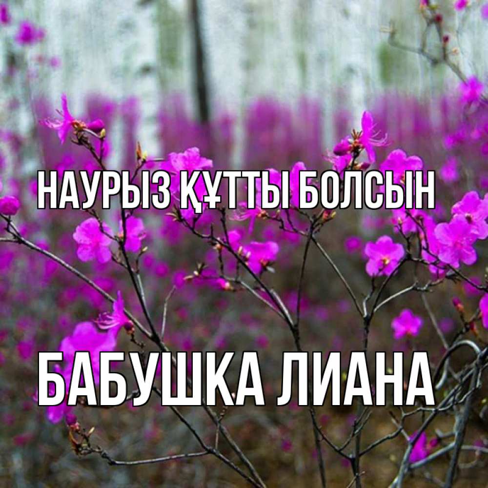 Открытка на каждый день с именем, Бабушка-Лиана Наурыз құтты болсын дикие цветы Прикольная открытка с пожеланием онлайн скачать бесплатно 
