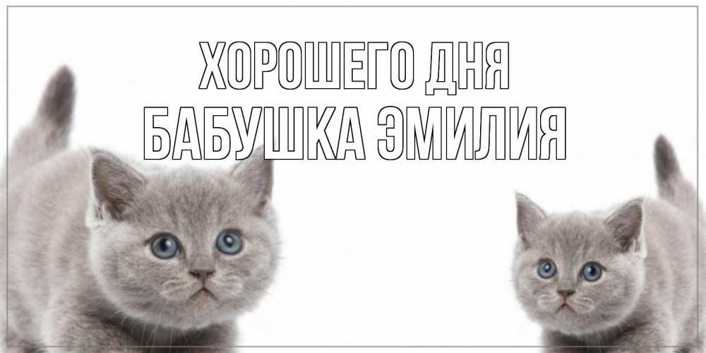 Открытка на каждый день с именем, Бабушка-Эмилия Хорошего дня открытка с котами Прикольная открытка с пожеланием онлайн скачать бесплатно 