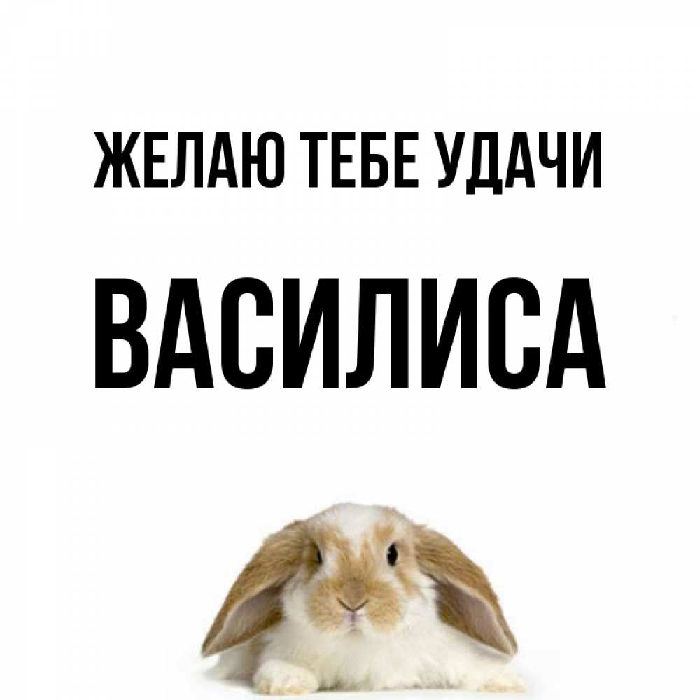 Открытка на каждый день с именем, Василиса Желаю тебе удачи открытки с произвольным текстом который можно вставить в открытку и создать ее самостоятельно бесплатно онлайн Прикольная открытка с пожеланием онлайн скачать бесплатно 
