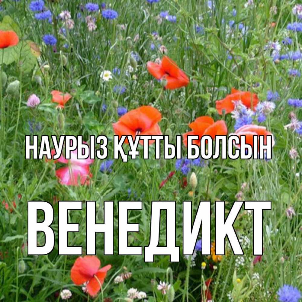 Открытка на каждый день с именем, Венедикт Наурыз құтты болсын наурыз  4 Прикольная открытка с пожеланием онлайн скачать бесплатно 