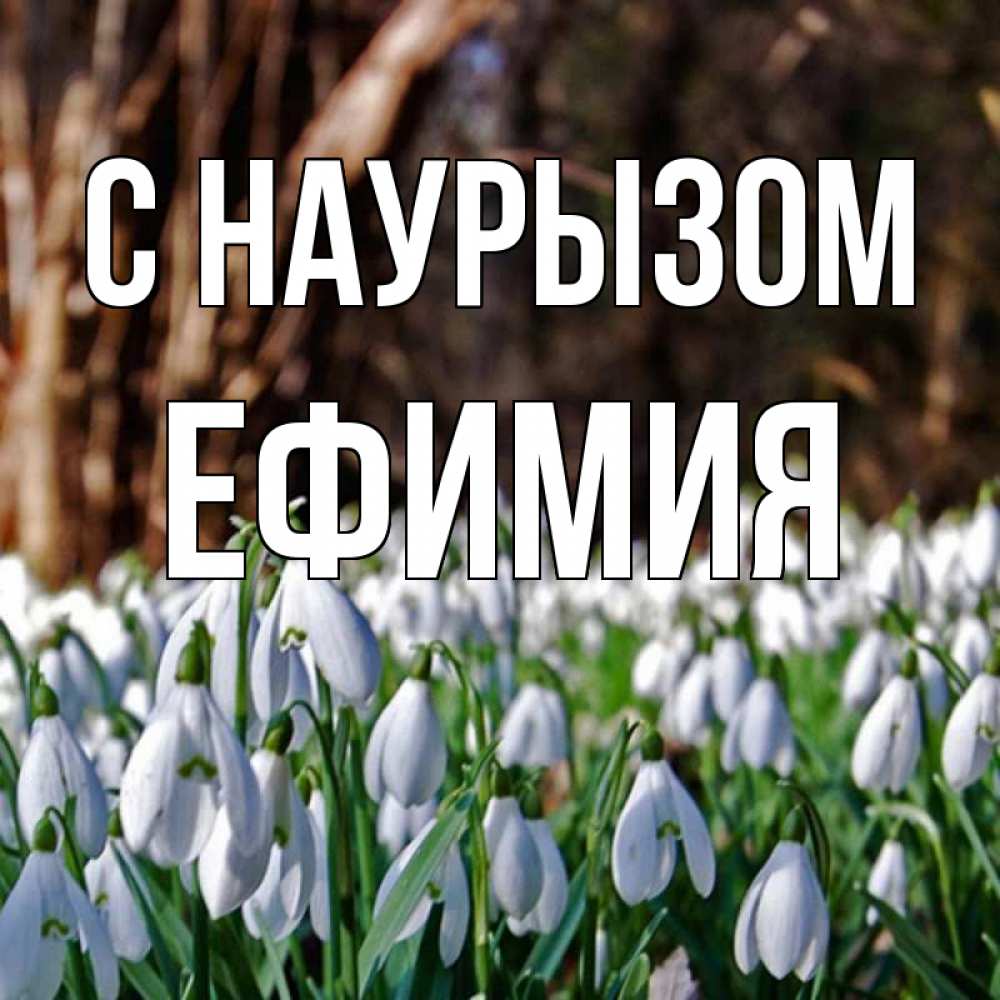 Открытка на каждый день с именем, Ефимия С наурызом с подснежниками 1 Прикольная открытка с пожеланием онлайн скачать бесплатно 