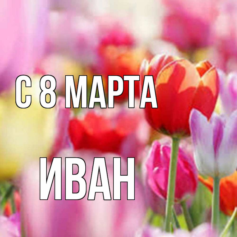 Открытка на каждый день с именем, Иван С 8 марта на международный женский день 2 Прикольная открытка с пожеланием онлайн скачать бесплатно 