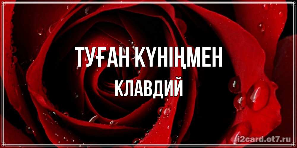 Открытка на каждый день с именем, Клавдий Туған күніңмен крупная бордовая роза Прикольная открытка с пожеланием онлайн скачать бесплатно 