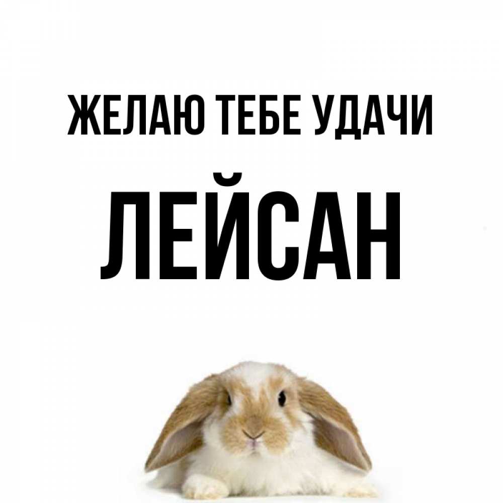 Открытка на каждый день с именем, Лейсан Желаю тебе удачи открытки с произвольным текстом который можно вставить в открытку и создать ее самостоятельно бесплатно онлайн Прикольная открытка с пожеланием онлайн скачать бесплатно 
