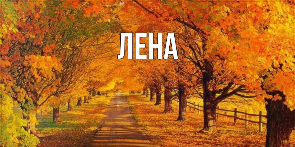 Открытка на каждый день с именем, Лена Главная деревья с осенними листьями Прикольная открытка с пожеланием онлайн скачать бесплатно 