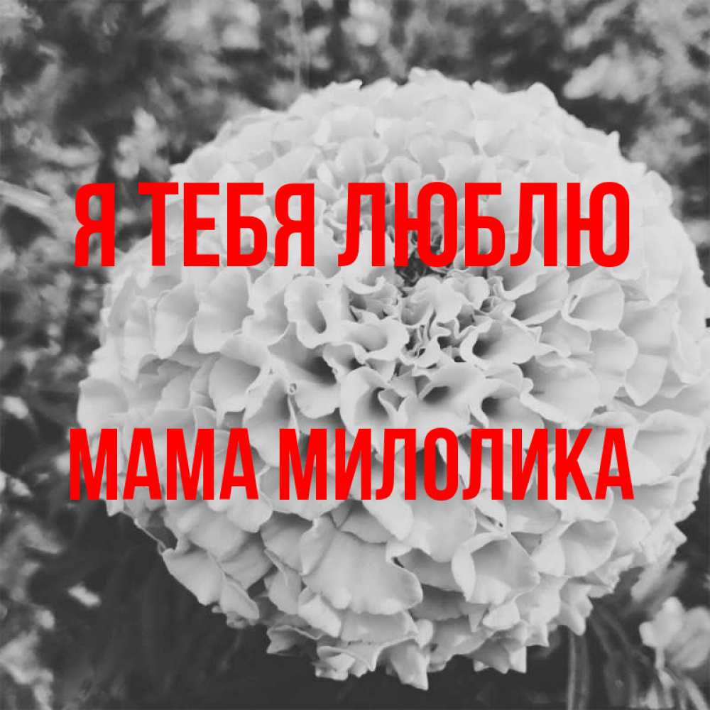 Открытка на каждый день с именем, Мама-Милолика Я тебя люблю подпись Прикольная открытка с пожеланием онлайн скачать бесплатно 