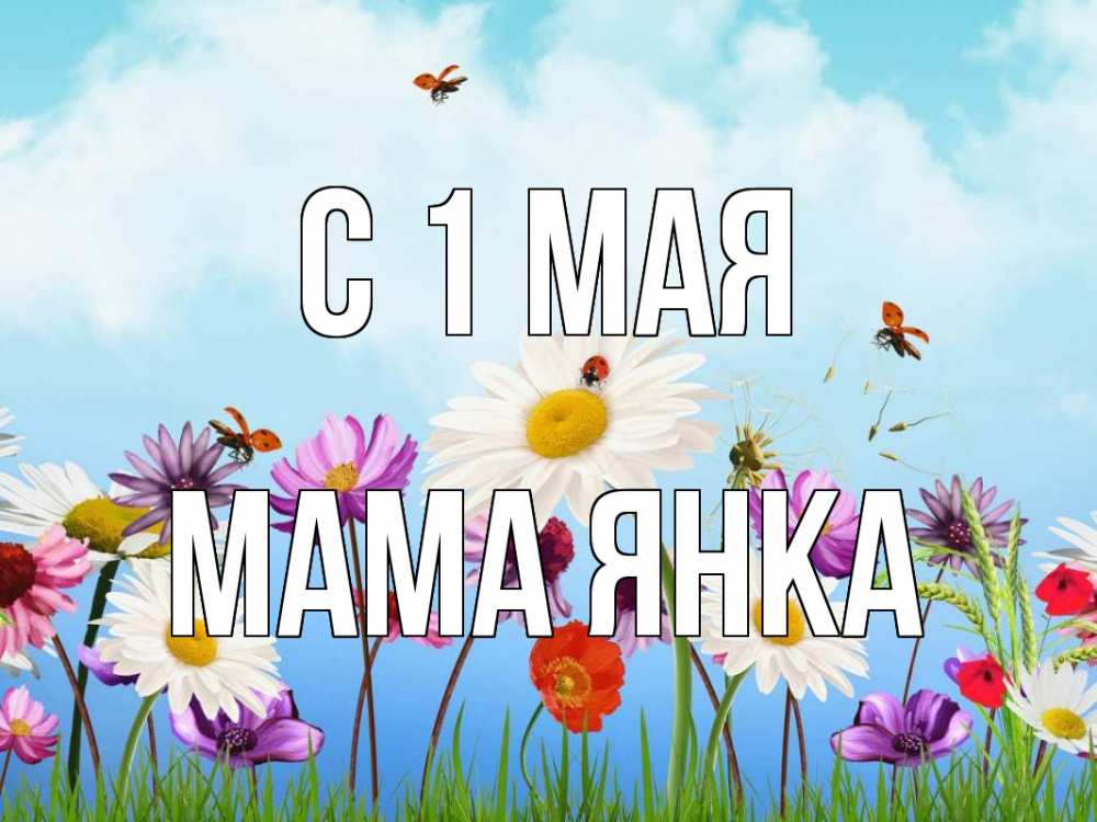 Открытка на каждый день с именем, Мама-Янка С 1 мая С 1 мая Прикольная открытка с пожеланием онлайн скачать бесплатно 