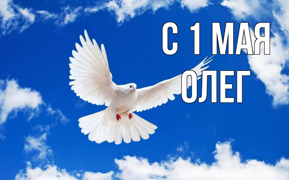 Открытка на каждый день с именем, Олег С 1 мая С 1 мая 1 Прикольная открытка с пожеланием онлайн скачать бесплатно 