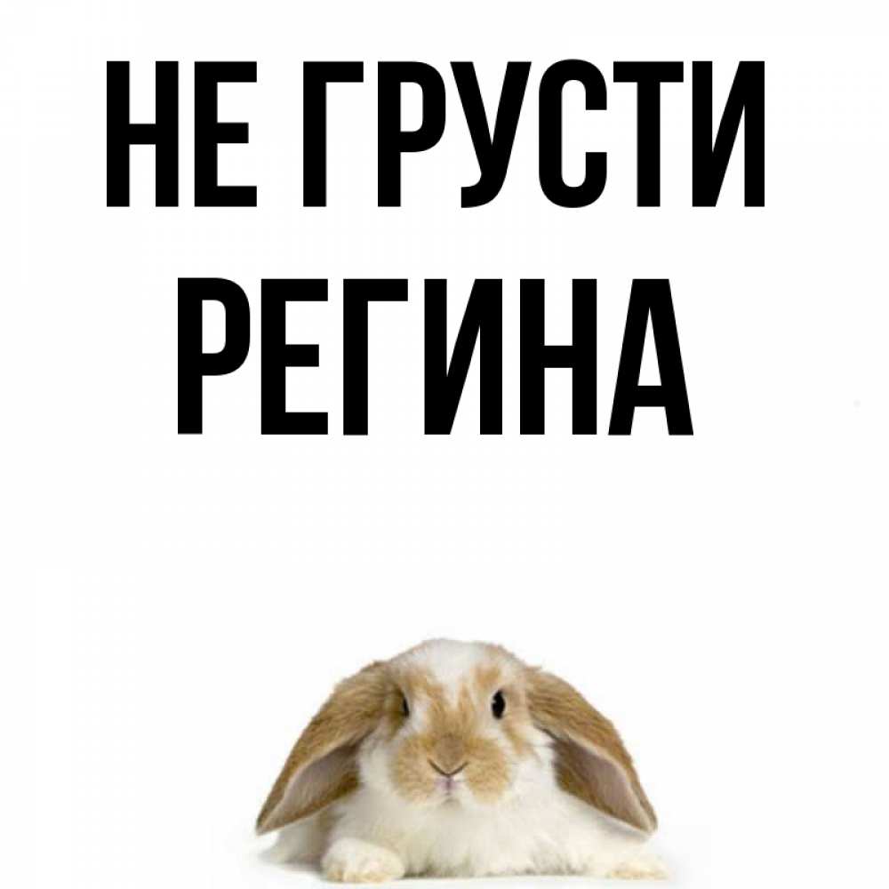 Открытка на каждый день с именем, Регина Не грусти коричнево белый заяц с большими ушками Прикольная открытка с пожеланием онлайн скачать бесплатно 