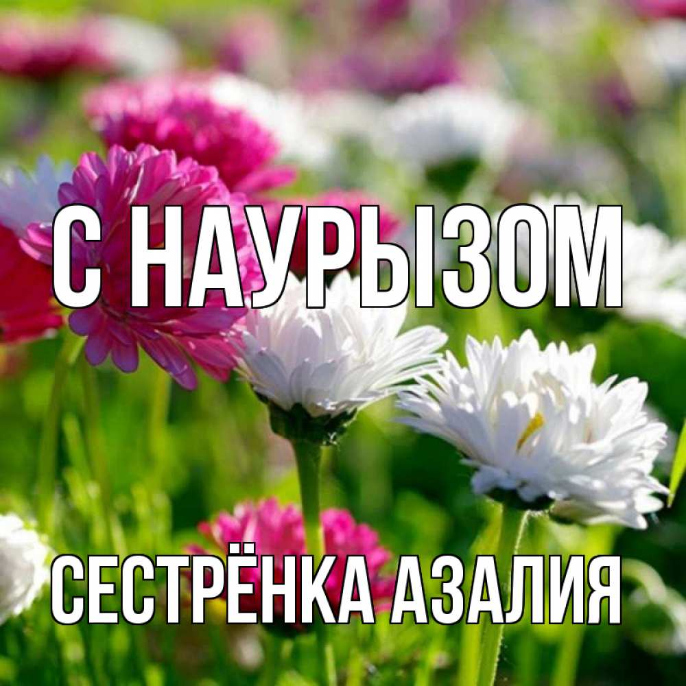 Открытка на каждый день с именем, Сестрёнка-Азалия С наурызом праздник весны наурыз красота Прикольная открытка с пожеланием онлайн скачать бесплатно 