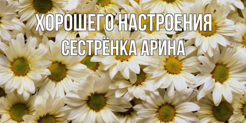 Открытка на каждый день с именем, Сестрёнка-Арина Хорошего настроения крупные ромашки Прикольная открытка с пожеланием онлайн скачать бесплатно 