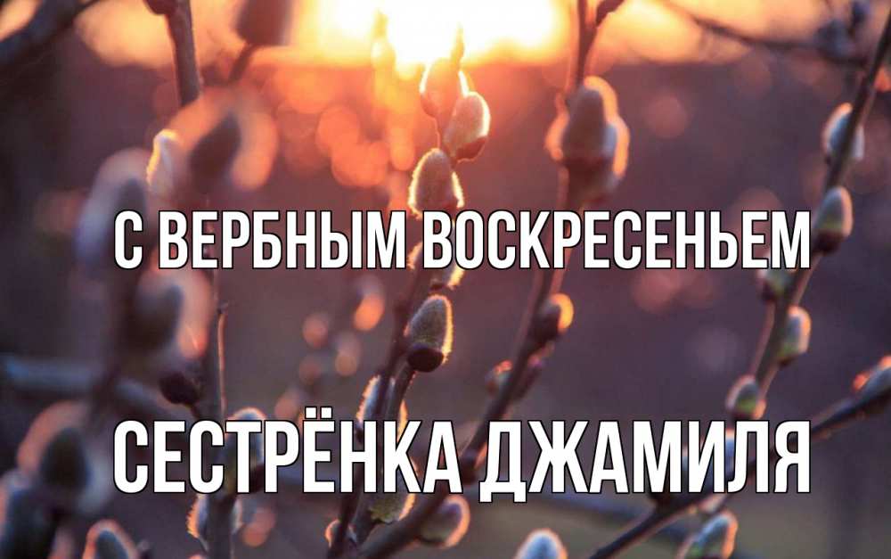 Открытка на каждый день с именем, Сестрёнка-Джамиля С вербным воскресеньем верба Прикольная открытка с пожеланием онлайн скачать бесплатно 