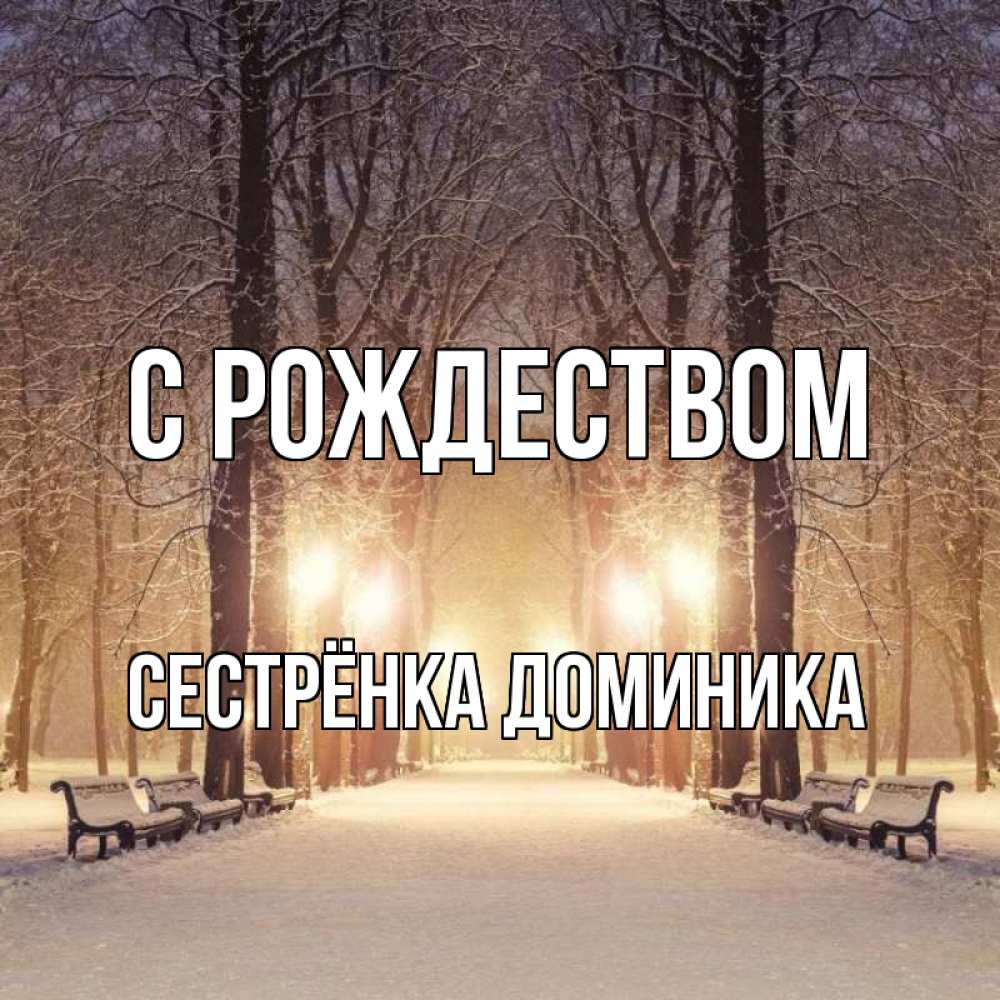 Открытка на каждый день с именем, Сестрёнка-Доминика С рождеством зима, парк, фонарь, лес Прикольная открытка с пожеланием онлайн скачать бесплатно 