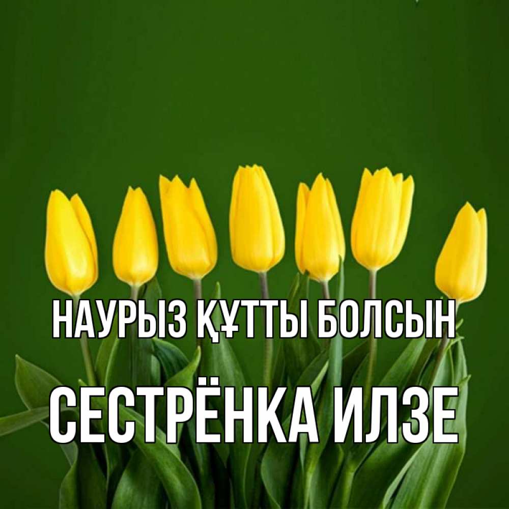 Открытка на каждый день с именем, Сестрёнка-Илзе Наурыз құтты болсын желтого цвета 3 Прикольная открытка с пожеланием онлайн скачать бесплатно 