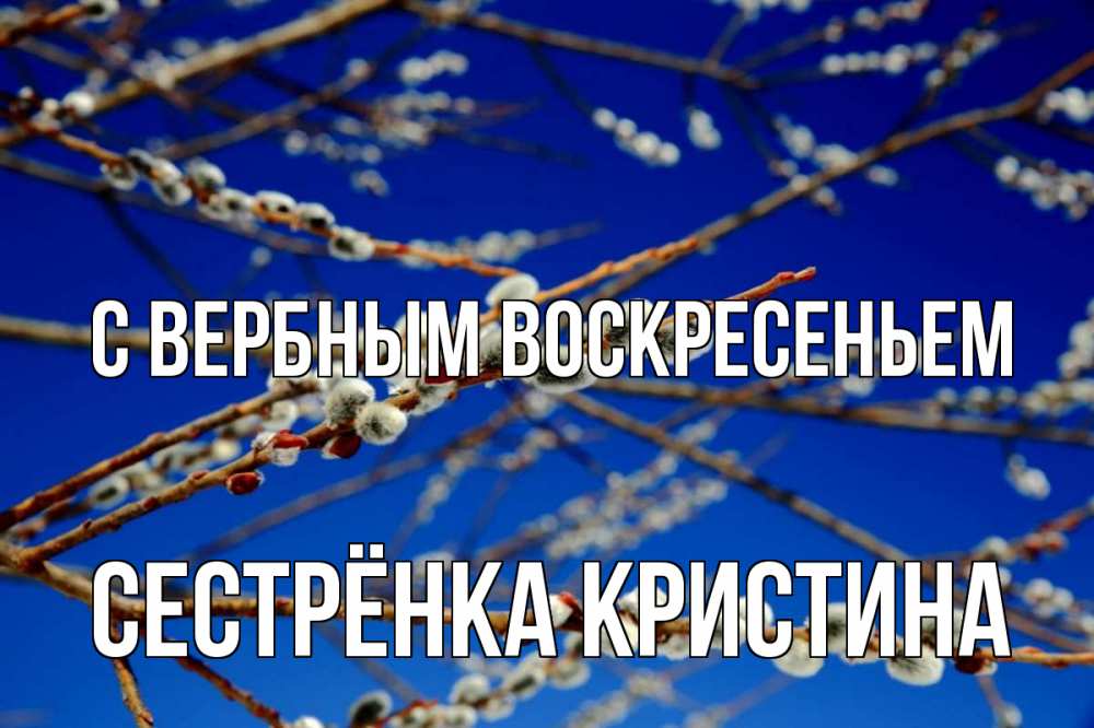 Открытка на каждый день с именем, Сестрёнка-Кристина С вербным воскресеньем верба Прикольная открытка с пожеланием онлайн скачать бесплатно 